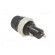 Fuse holder with cover | cylindrical fuses | 5mm | 10A | on panel image 4