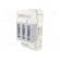 Fuse-switch disconnector | NH00 | 160A | 690VAC | Poles: 3 фото 1
