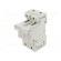 Fuse base | for DIN rail mounting | Poles: 1+N image 1