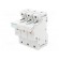 Fuse base | for DIN rail mounting | Poles: 3 image 1