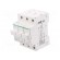 Fuse base | for DIN rail mounting | Poles: 3 image 1