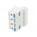 Fuse base | for DIN rail mounting | Poles: 3+N image 4