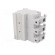 Fuse disconnector | 22x58mm | Mounting: for DIN rail mounting paveikslėlis 2