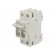 Fuse disconnector | D01 | for DIN rail mounting | 10A | Poles: 1+N paveikslėlis 1
