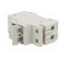 Fuse disconnector | D01 | for DIN rail mounting | 10A | Poles: 1+N paveikslėlis 2
