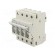 Fuse disconnector | D01 | for DIN rail mounting | 10A | Poles: 3+N image 1