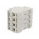 Fuse disconnector | D01 | for DIN rail mounting | 10A | Poles: 3+N image 4