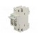 Fuse disconnector | D01 | for DIN rail mounting | 13A | Poles: 1+N image 1