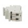 Fuse disconnector | D01 | for DIN rail mounting | 13A | Poles: 1+N image 3