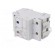 Fuse disconnector | D02 | for DIN rail mounting | 63A | 230/400VAC image 2