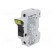 Fuse holder | 10.3x38mm | for DIN rail mounting | 30A | Poles: 1 | IP20 paveikslėlis 1