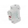 Fuse holder | cylindrical fuses | 10x38mm | for DIN rail mounting image 1