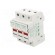 Fuse holder | cylindrical fuses | 10x38mm | for DIN rail mounting image 1