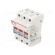 Fuse holder | cylindrical fuses | 10x38mm | for DIN rail mounting paveikslėlis 1