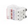 Fuse holder | cylindrical fuses | for DIN rail mounting | 30A | IP20 paveikslėlis 2