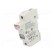 Fuse holder | cylindrical fuses | for DIN rail mounting | 30A | IP20 фото 1