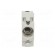 Fuse holder | protection switchgear | D01 | for DIN rail mounting image 9