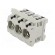 Fuse holder | protection switchgear | D02 | for DIN rail mounting image 1
