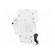 Circuit breaker | 230VAC | Inom: 16A | Poles: 1 | DIN | Charact: B | 6kA image 4