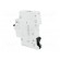 Circuit breaker | 230/400VAC | Inom: 16A | Poles: 1 | Charact: C | 10kA image 4