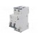 Circuit breaker | 230/400VAC | Inom: 16A | Poles: 2 | Charact: C | 6kA image 1