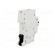 Circuit breaker | 230VAC | Inom: 20A | Poles: 1 | DIN | Charact: B | 6kA image 6