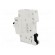 Circuit breaker | 230VAC | Inom: 20A | Poles: 1 | DIN | Charact: B | 6kA image 4