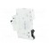 Circuit breaker | 230/400VAC | Inom: 25A | Poles: 1 | Charact: B | 10kA image 4