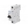 Circuit breaker | 230/400VAC | Inom: 25A | Poles: 1 | DIN | Charact: B image 1