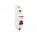 Circuit breaker | 230/400VAC | Inom: 25A | Poles: 1 | Charact: B | 6kA image 9