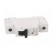 Circuit breaker | 230/400VAC | Inom: 32A | Poles: 1 | Charact: C | 10kA image 9