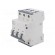 Circuit breaker | 230/400VAC | Inom: 32A | Poles: 3 | Charact: D | 10kA image 1