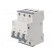 Circuit breaker | 230/400VAC | Inom: 40A | Poles: 3 | Charact: C | 6kA image 1
