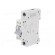 Circuit breaker | 230VAC | Inom: 6A | Poles: 1 | DIN | Charact: B | 6kA image 4