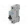 Circuit breaker | 230VAC | Inom: 1A | Poles: 1 | DIN | Charact: C | 6kA image 1