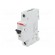 Circuit breaker | 230VAC | Inom: 40A | Poles: 1 | DIN | Charact: C | 6kA image 1