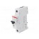 Circuit breaker | 230VAC | Inom: 63A | Poles: 1 | DIN | Charact: C | 6kA image 1