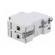 RCD breaker | Inom: 25A | Ires: 30mA | Max surge current: 3000A | IP20 image 4