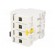 RCD breaker | Inom: 25A | Ires: 30mA | Poles: 4 | 400V | Mounting: DIN image 4