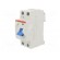 RCD breaker | Inom: 40A | Ires: 300mA | Max surge current: 5000A | IP20 image 2