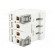 RCD breaker | Inom: 63A | Ires: 30mA | Max surge current: 250A | 400V image 4