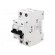 Motor breaker | 0.75kW | 220÷440VAC | for DIN rail mounting | IP20 image 1