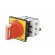 Main emergency switch-disconnector | Poles: 3 | 25A | TeSys VARIO фото 2