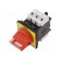Main emergency switch-disconnector | Poles: 3 | 40A | TeSys VARIO image 1