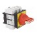 Main emergency switch-disconnector | Poles: 3 | 80A | TeSys VARIO image 8