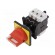 Main emergency switch-disconnector | Poles: 3 | on panel | 12A | IP65 image 1