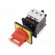 Main emergency switch-disconnector | Poles: 3 | on panel | 25A | IP65 image 1