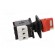 Main emergency switch-disconnector | Poles: 3 | on panel | 40A | IP65 paveikslėlis 7