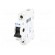 Switch-disconnector | Poles: 1 | DIN | 16A | 240VAC | IS | IP40 | 2.5÷50mm2 image 2