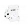 Switch-disconnector | Poles: 1 | DIN | 16A | 240VAC | IS | IP40 | 2.5÷50mm2 image 3